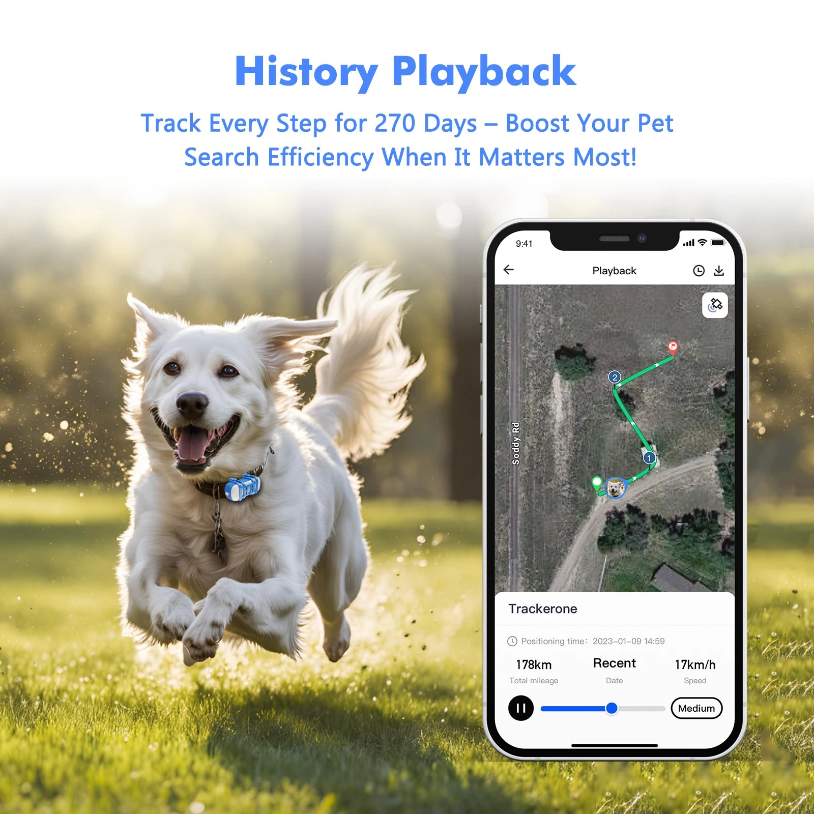 Smart Dog Tracker
