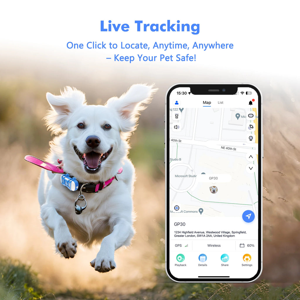 Smart Dog Tracker