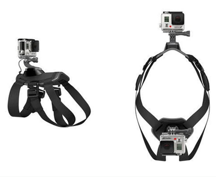Adventure Camera Mount Harness For Dogs